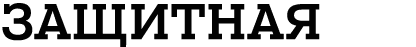 ЗАЩИТНАЯ